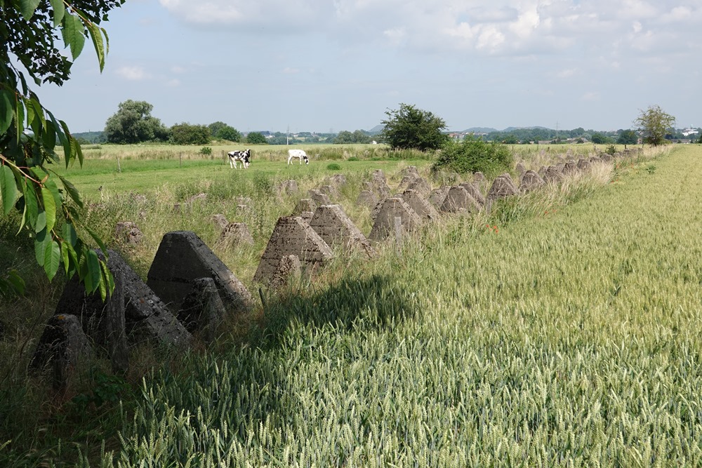 Westwall - Tankversperring Vetschau