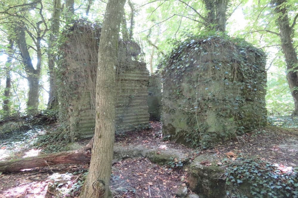 Bunker Butte de Froidmont Champey-sur-Mosselle #1