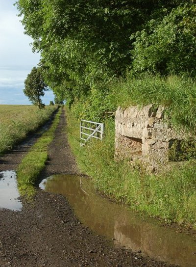 Bunker FW3/24 Crail #2