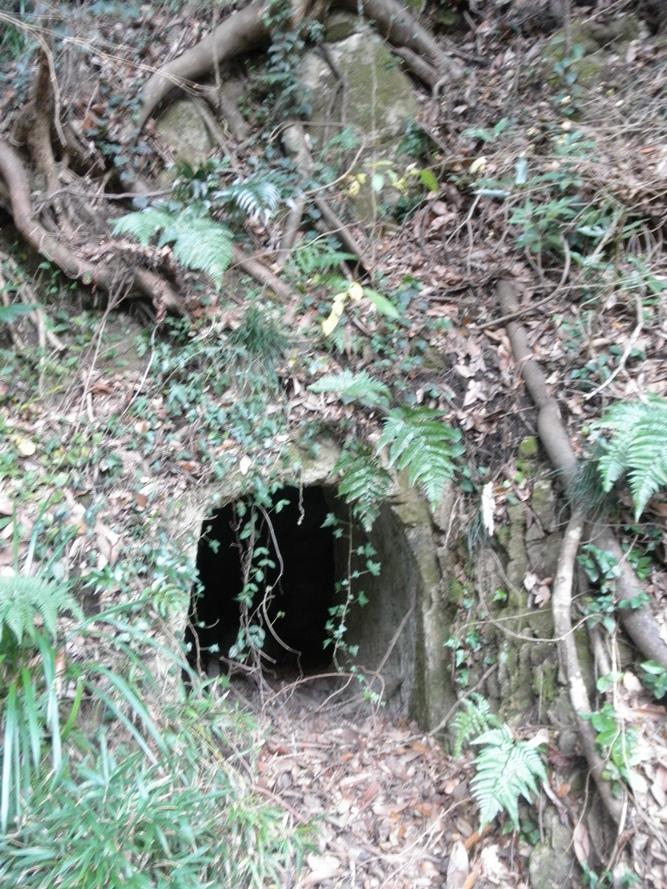 Tunnel Kanaya #3