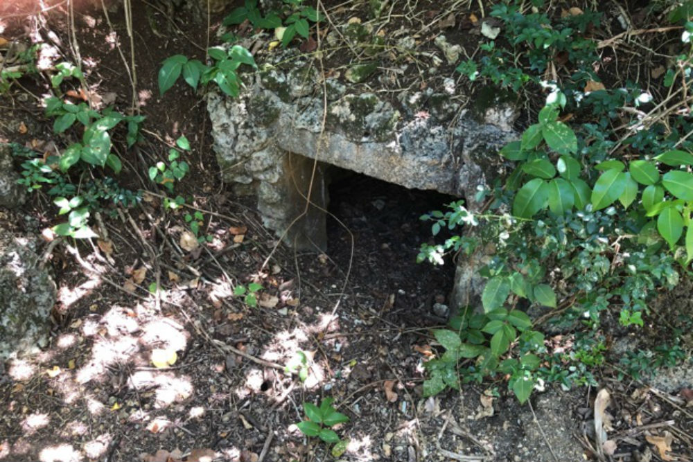 Japanese Bunker Apaca Point #3