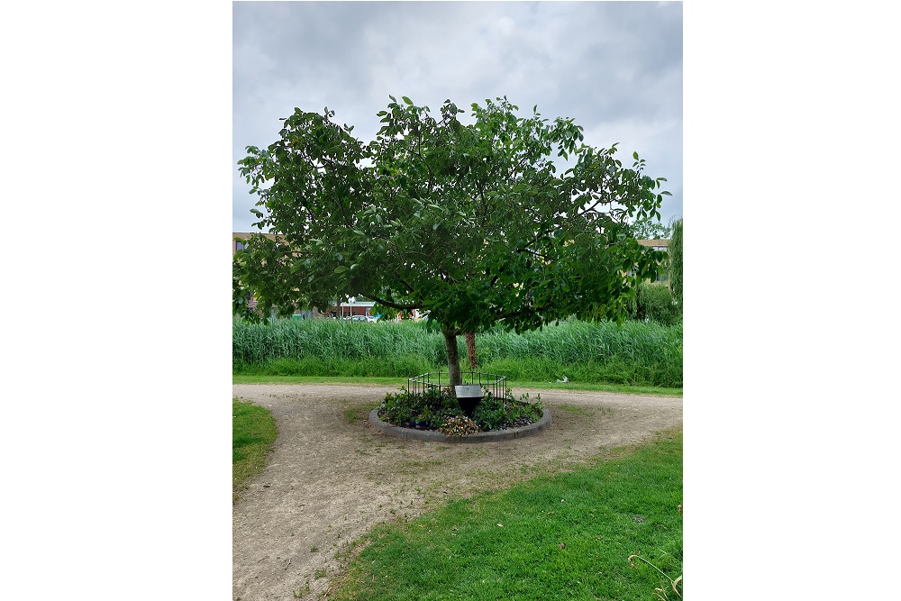 Gedenkboom Joodse Familie Den Hartog