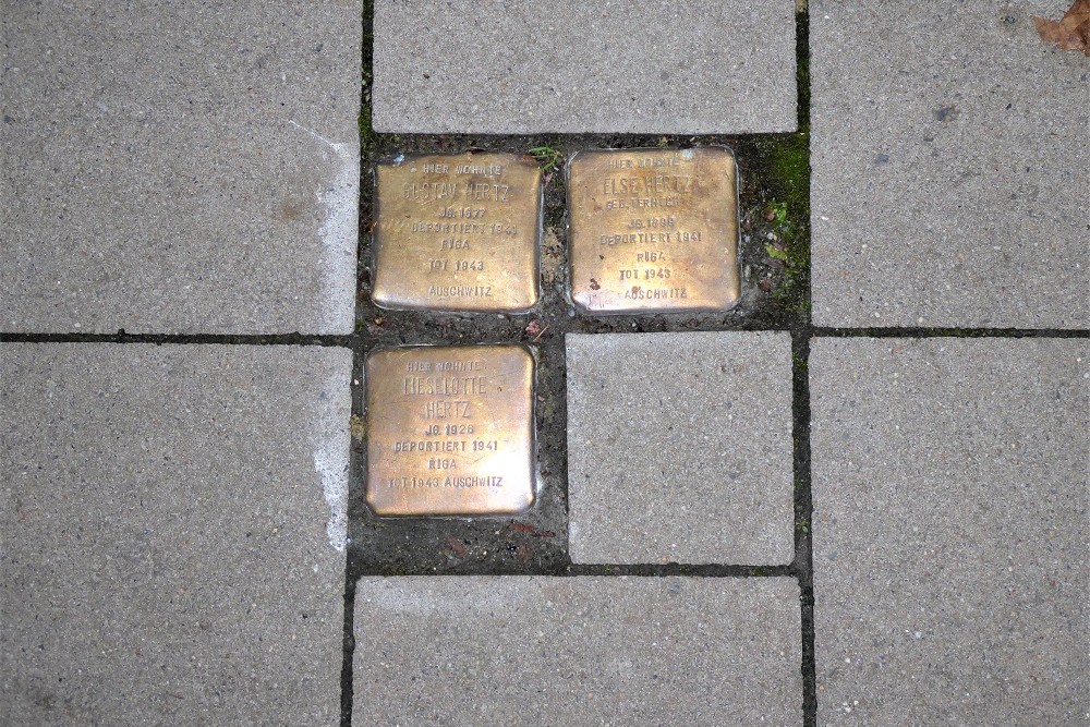 Stolpersteine Hamburger Strae 31 #1