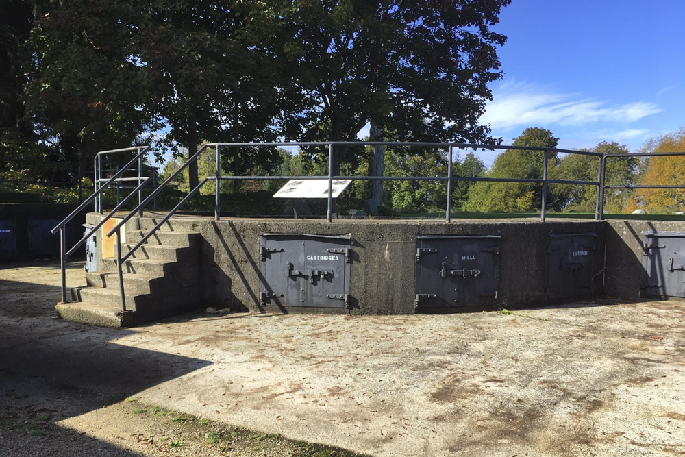 Point Grey Battery