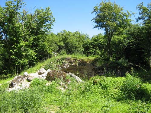 Remains Fort Bezonvaux