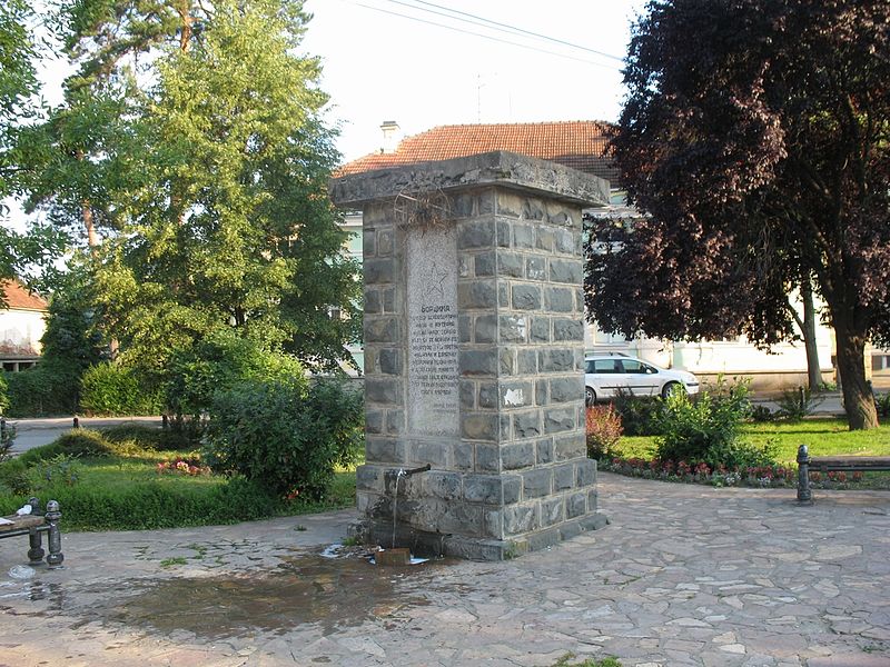 Monument Omgekomen Partizanen Brus #1