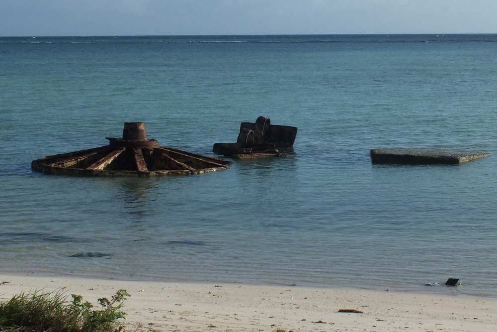 Remains Japanese Gun