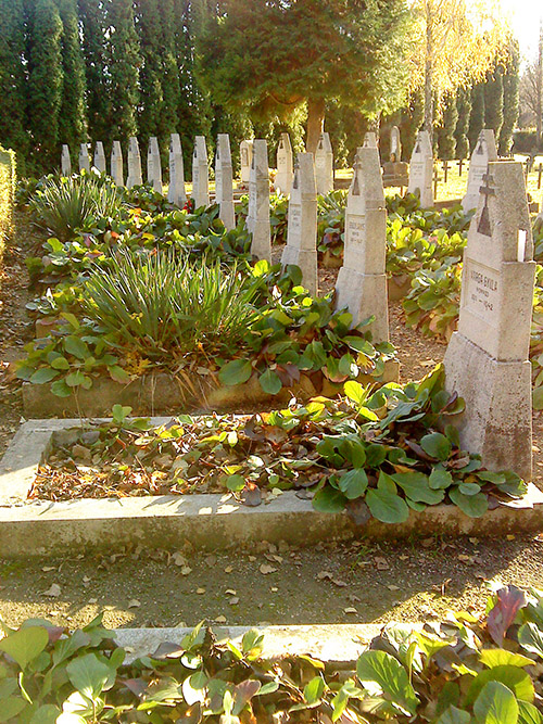 Hungarian War Graves #1