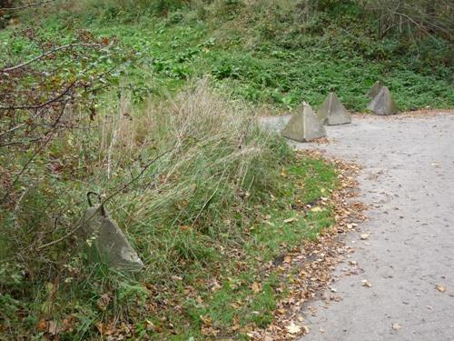 Tankversperring Fort bij Vechten #2