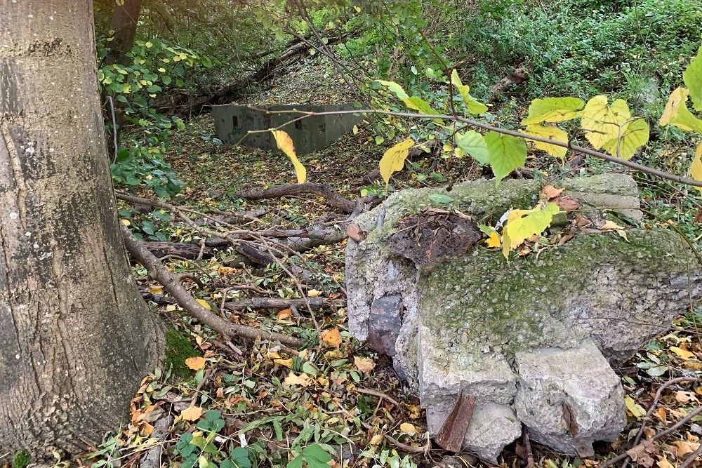 Bunker Vi 15 Visé #5