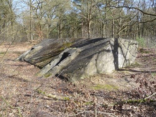 Group Shelter Type 1918/II De Fransche Kamp #1