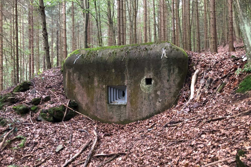 Benešovalinie - Type 37 Kazemat Hřensko #1