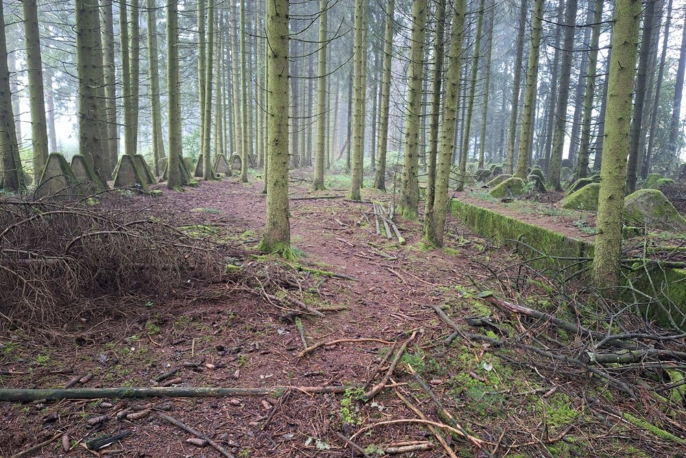 Westwall - Tank Barrier Hollerath #1