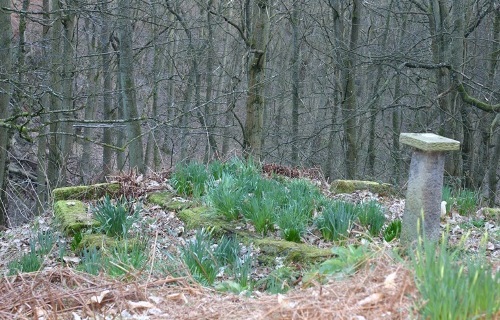 Oorlogsgraf van het Gemenebest Croft Castle