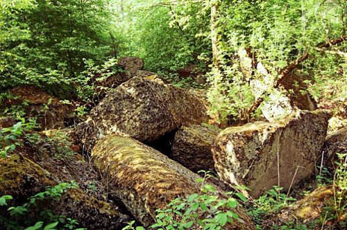 Stalin Line - Remains Casemate No. 416