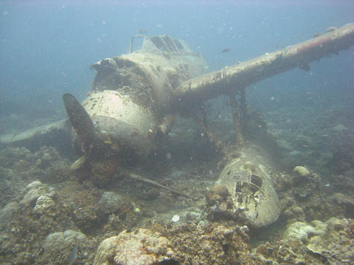 Crash Site & Remains Aichi E13A Seaplane Koror #1