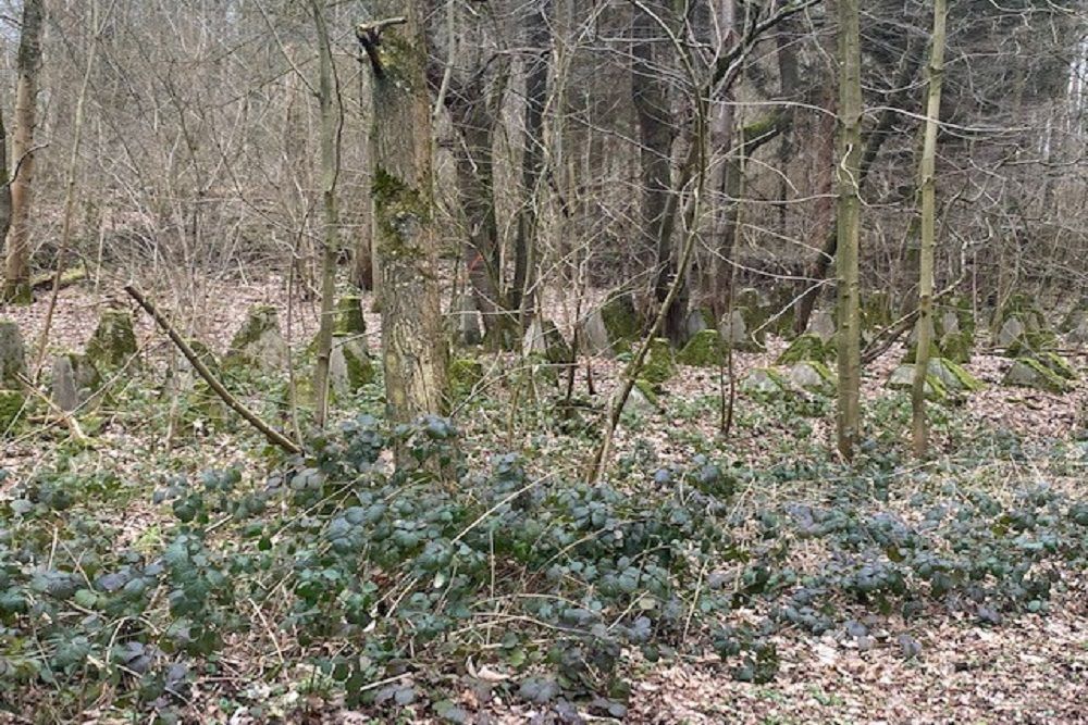 Westwall - Tank Barrier Kohlscheid #5