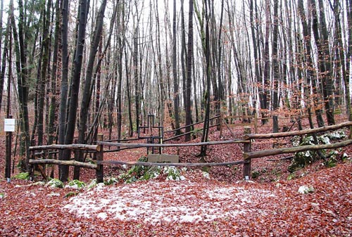 Former Execution Site Veliko Brezarjevo brezno #1