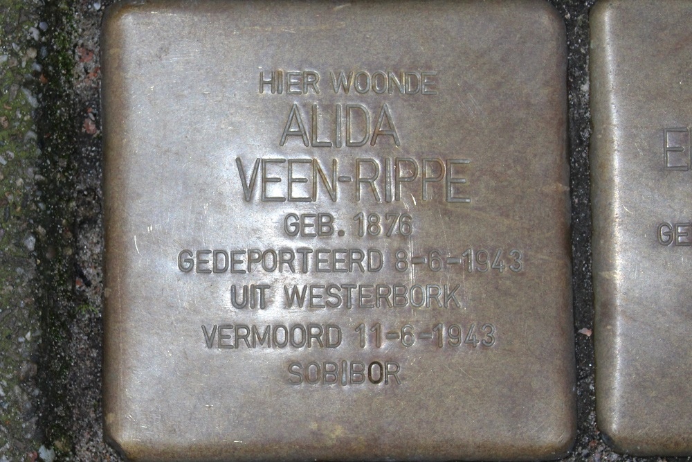 Stumbling Stones Frans Halsstraat 7 #3