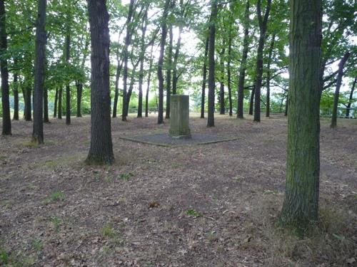 Oorlogsmonument Copitz #4