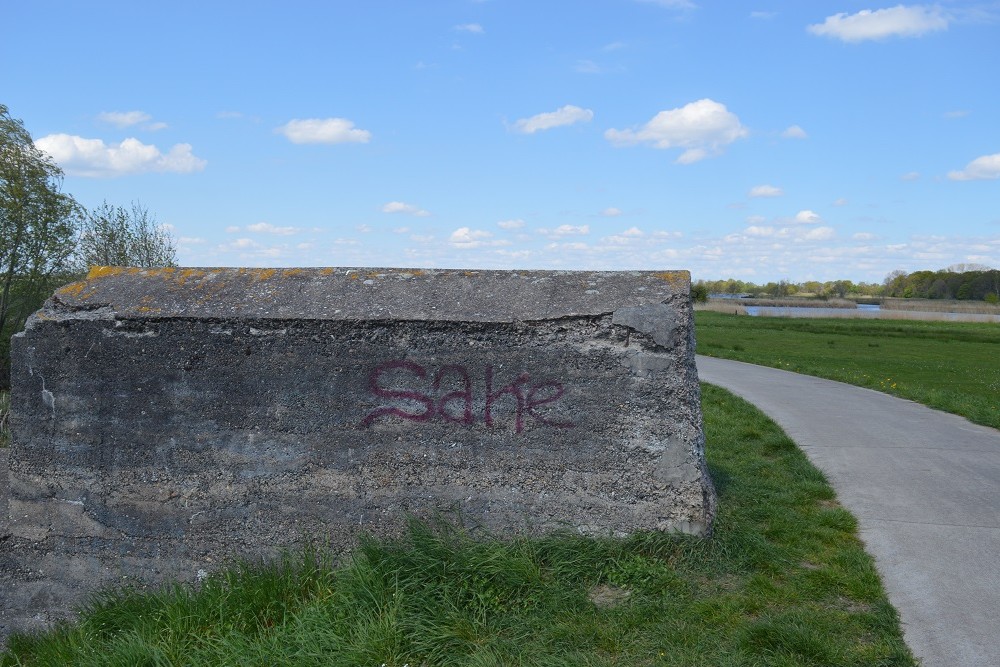 Anti-tank Wall Langenholterdijk #4