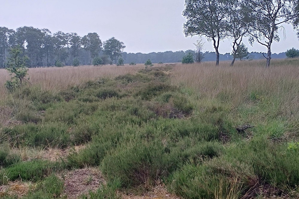 Fliegerhorst Deelen: Hoofdaanvoerweg