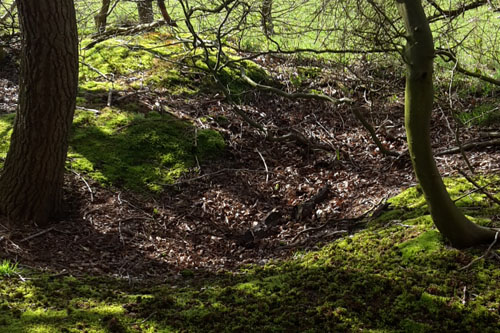 Slit trenches and Anti Tank Ditch Heiloo Woods #1