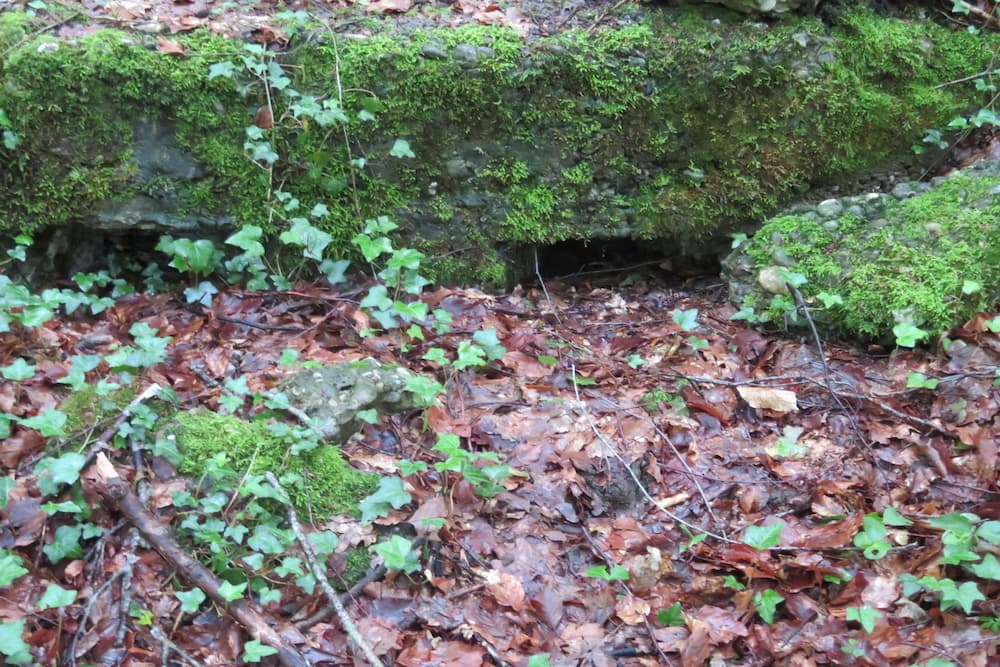 German Commandpost Mooslargue #4