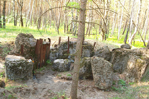 Stalin Line - Remains Bunker No. 560 #1