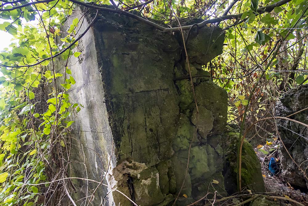 Restanten Bunker Verlautenheide #2