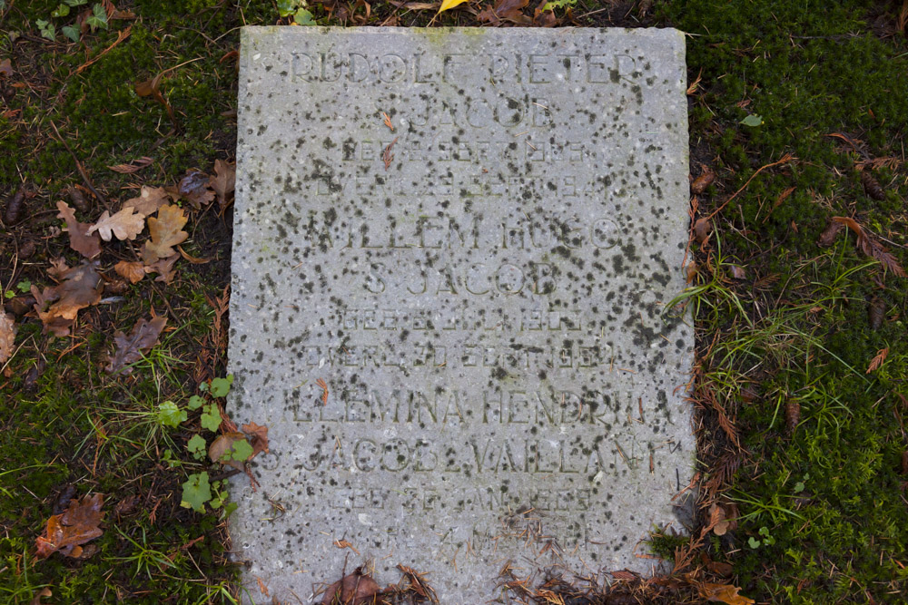 Nederlandse Oorlogsgraven Oude Algemene Begraafplaats Doorn #4