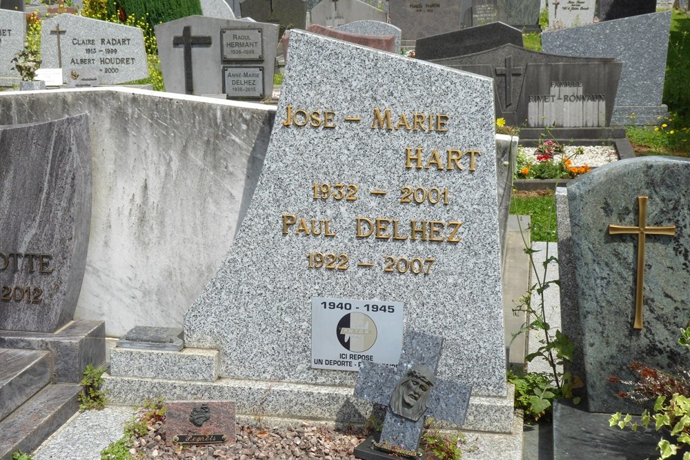 Belgian Graves Veterans Beez #5