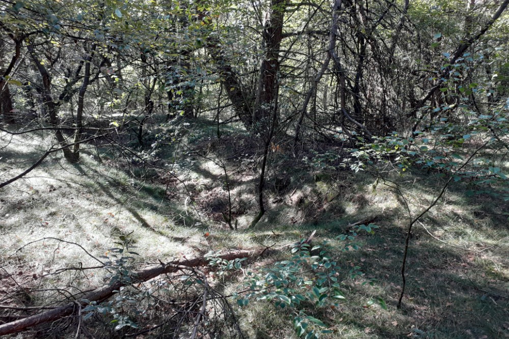 German Trenches Garderen