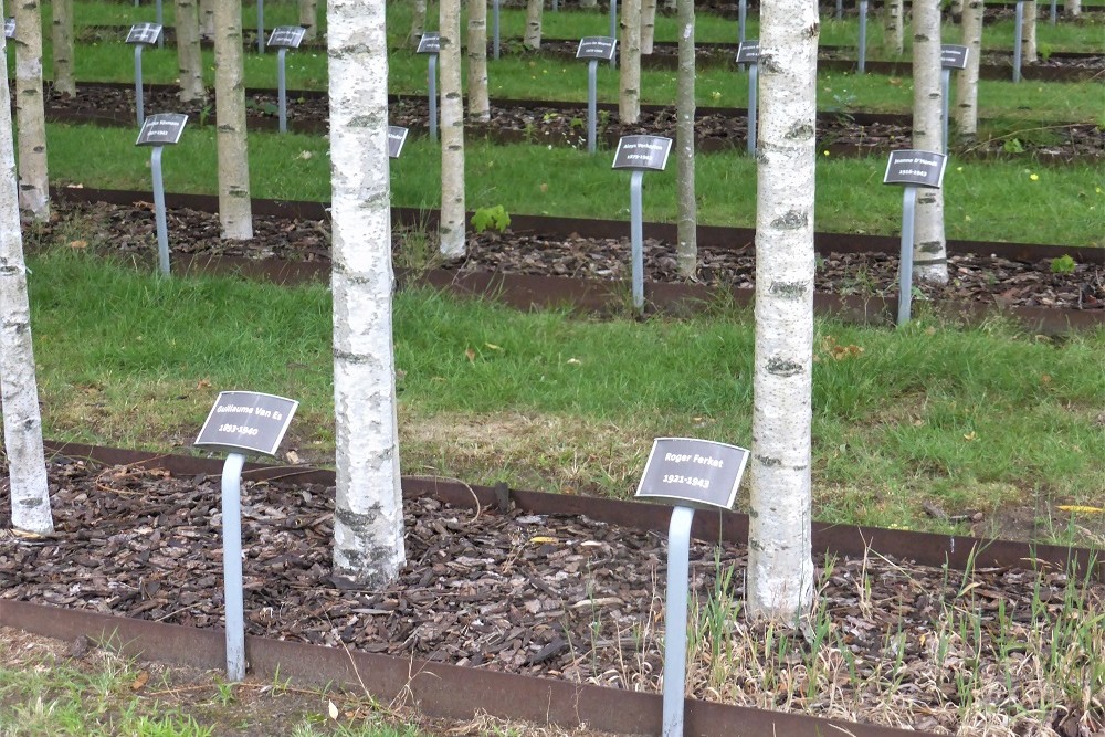 Oorlogsmonument Begraafplaats Berchem #5