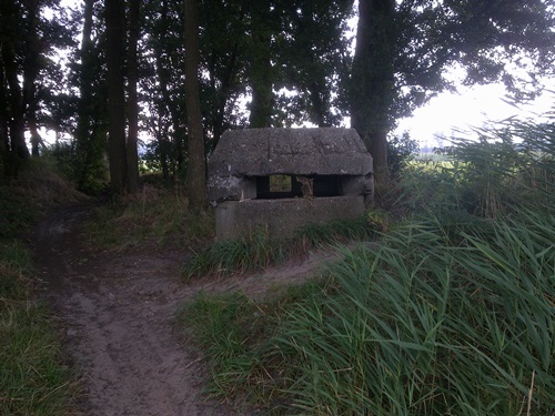 Frieslandregel Wittelte #2