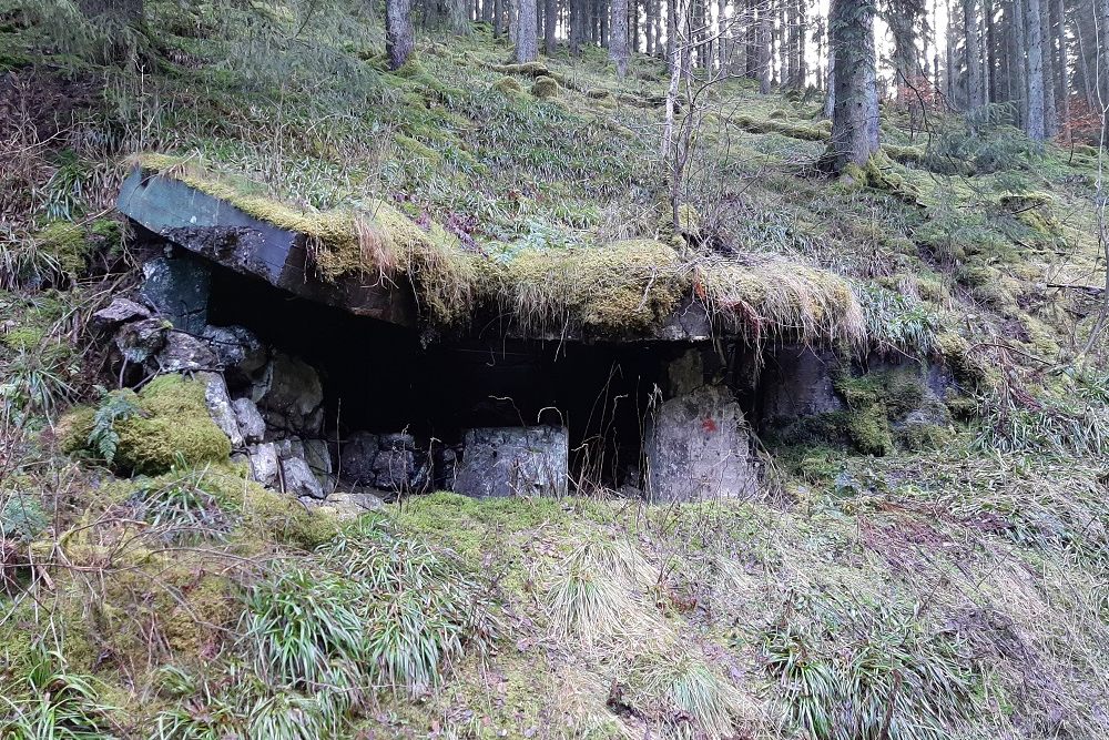 Bunker 42, Type D-2 Trish Oleftal