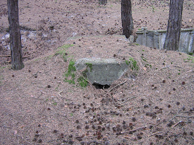 Reinforced Polish Trench #3