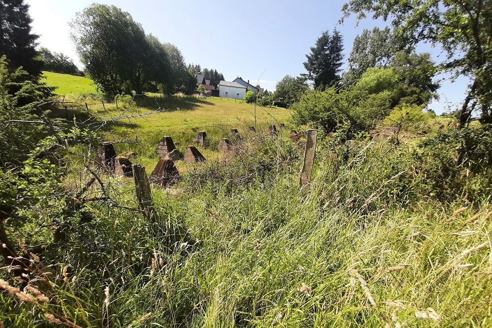 Westwall - Tank Barrier Udenbreth #2