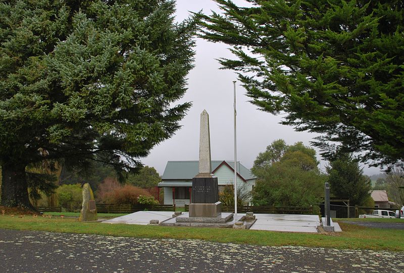 War Memorial Beech Forest #1