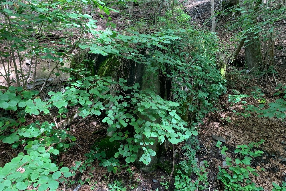 Bunkers WW2 Chevron #2