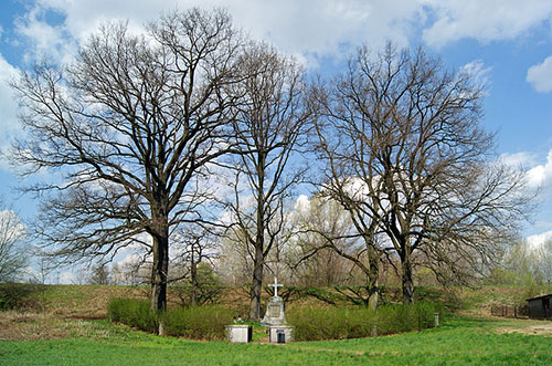 War Cemetery No. 209