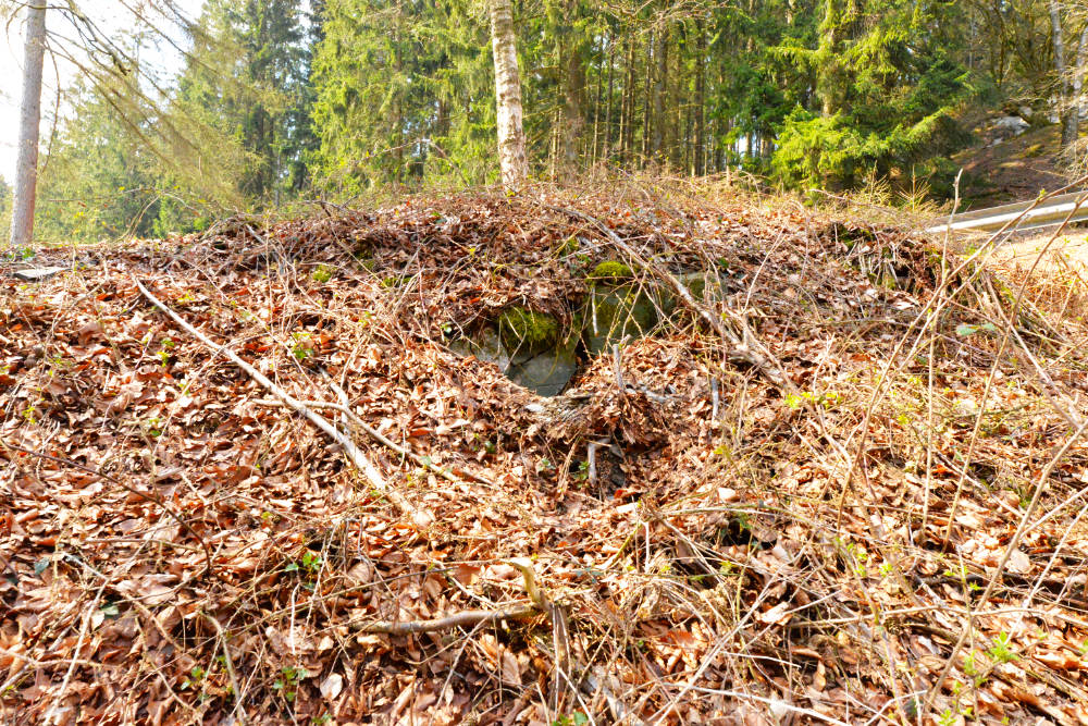 Bunker P115 Ochsenkopf #5