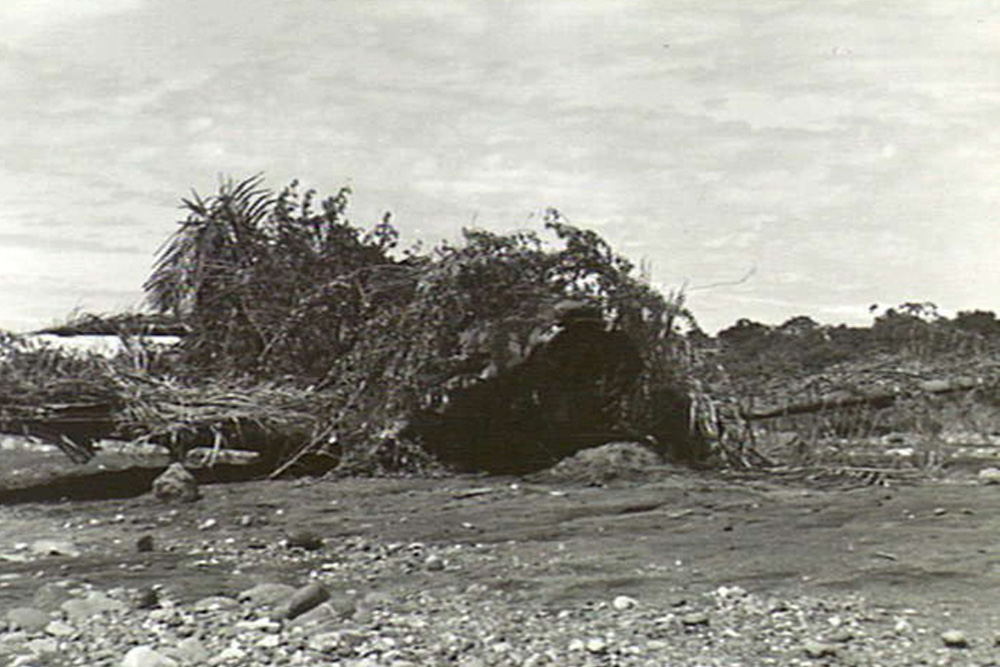 Crash Site P-40N-5-CU Warhawk 42-104***