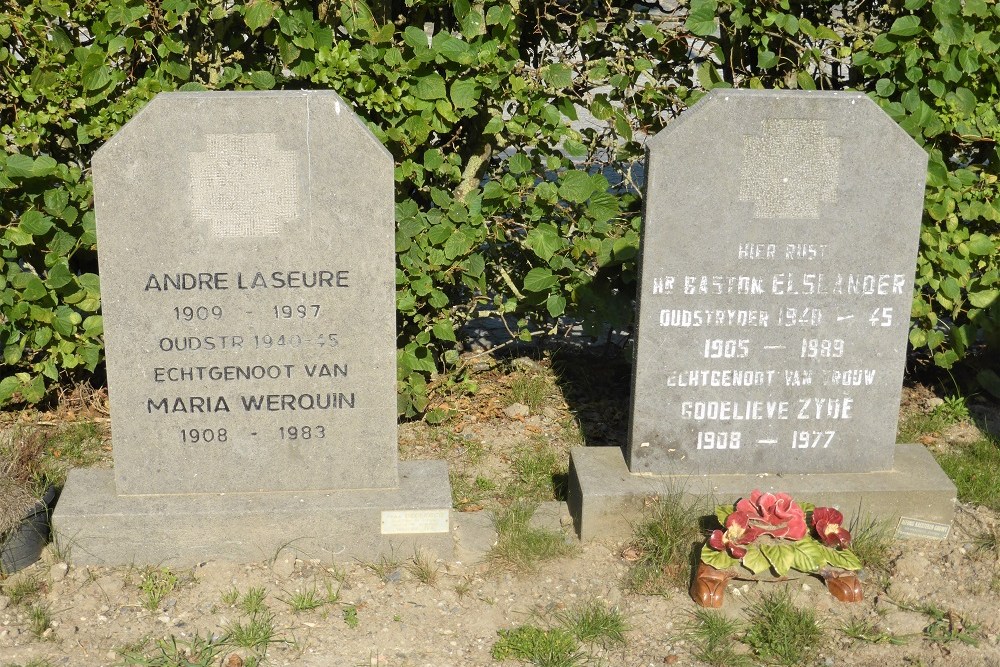 Belgian Graves Veterans Proven #3