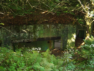 Pillbox No. 131 on Der Buhlert #1