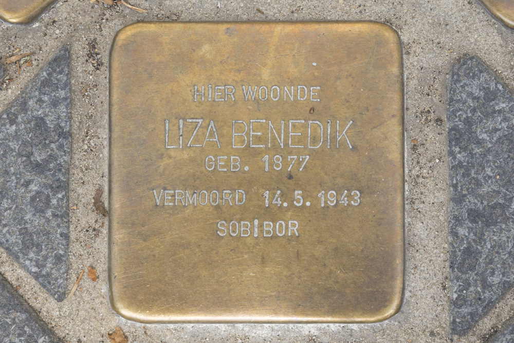 Stolpersteine Wilhelminalaan 25 #2