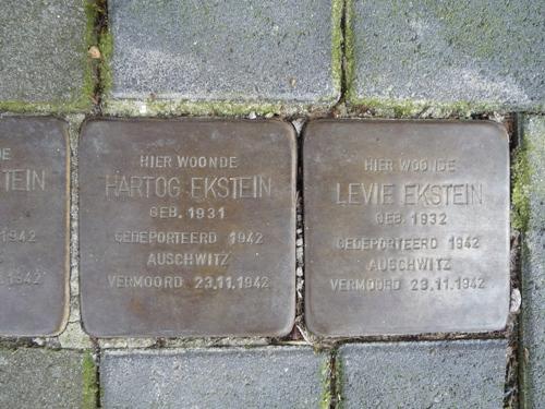 Stolpersteine Tongelresestraat 118 #4