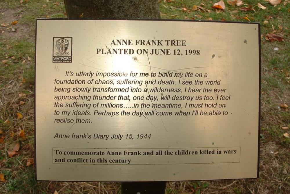 Anne Frank Remembrance Tree #1