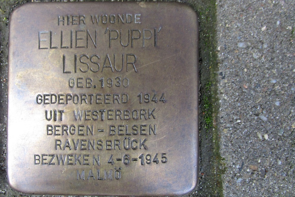 Stolpersteine Herculesstraat 25 #3