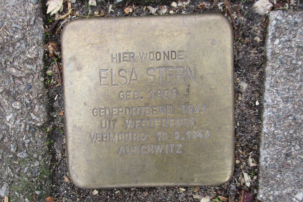 Stolpersteine Petrarcalaan 65 #3